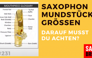 Saxophon Mundstück